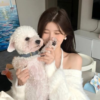 香格里拉下雪了吗